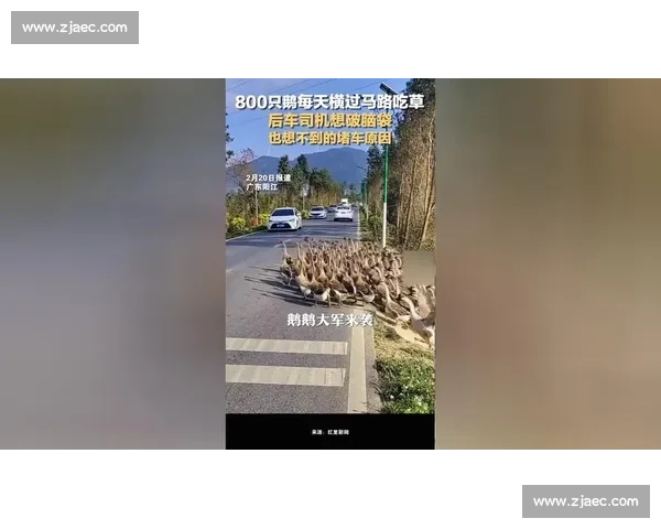 直播封神瞬间：那脚射门，想破头也猜不到